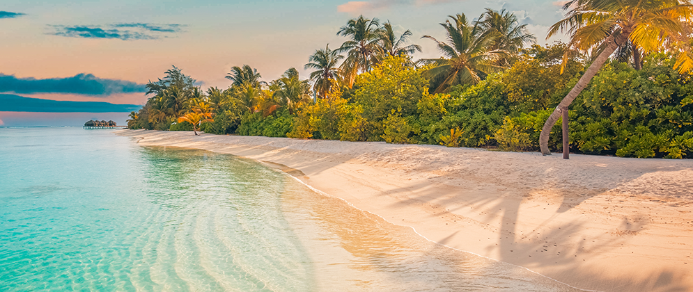 DONT'T MISS OUT ON UNIVER TRAVEL'S SPECIAL